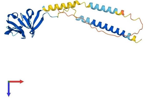 C21ORF45 Protein (AA 1-233) (His tag)