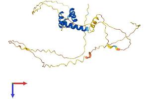 MEOX2 Protein (AA 1-304) (His tag)