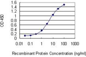 Detection limit for recombinant GST tagged TIPIN is 0. (TIPIN Antikörper  (AA 1-301))