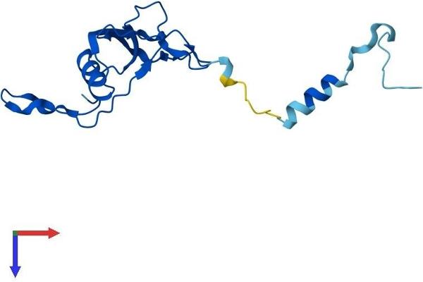 MRPL23 Protein (AA 1-153) (His tag)