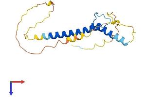 TCF21 Protein (AA 1-179) (His tag)
