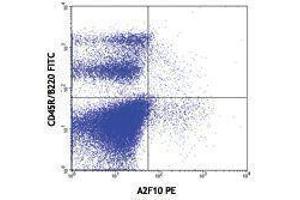 Flow Cytometry (FACS) image for anti-Fms-Related tyrosine Kinase 3 (FLT3) antibody (PE) (ABIN2663013) (FLT3 Antikörper  (PE))