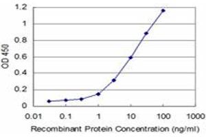 Detection limit for recombinant GST tagged PHF1 is approximately 1ng/ml as a capture antibody. (PHF1 Antikörper  (AA 2-100))