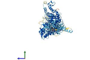 AlphaFold protein structure predicition of Human Recombinant HERC6 Protein, UniprotID Q8IVU3