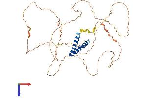 SS18L1 Protein (AA 1-402) (His tag)