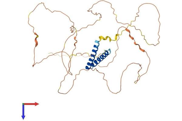 SS18L1 Protein (AA 1-402) (His tag)