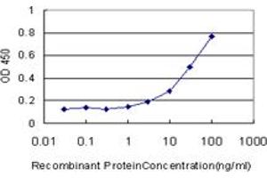 Detection limit for recombinant GST tagged CTSW is approximately 3ng/ml as a capture antibody. (Cathepsin W Antikörper  (AA 22-376))