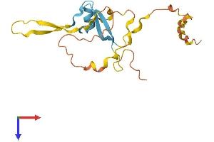 DAZAP2 Protein (AA 1-168) (His tag)