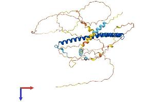 NFIL3 Protein (AA 1-462) (His tag)