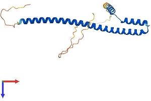 AES Protein (AA 1-197) (His tag)