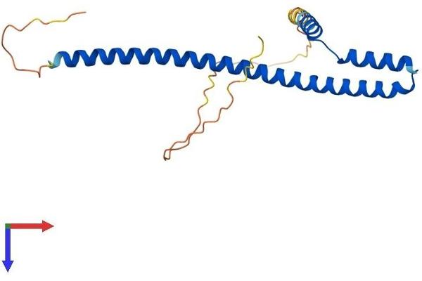 AES Protein (AA 1-197) (His tag)