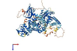 RAPGEF3 Protein (AA 1-918) (His tag)