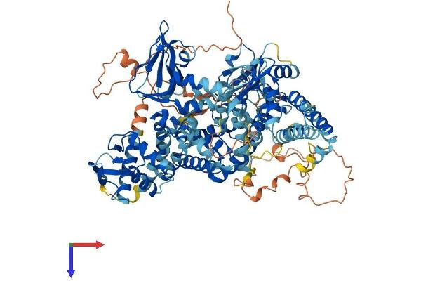 RAPGEF3 Protein (AA 1-918) (His tag)