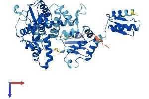 GTF2H4 Protein (AA 1-462) (His tag)