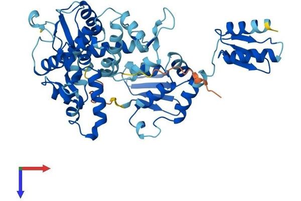 GTF2H4 Protein (AA 1-462) (His tag)
