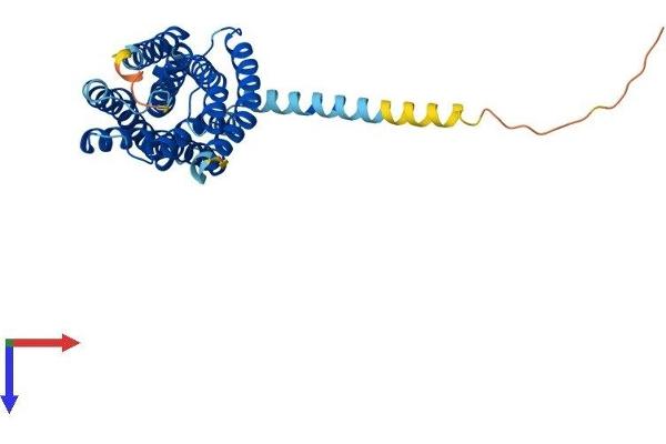 FFAR2 Protein (AA 1-330) (His tag)