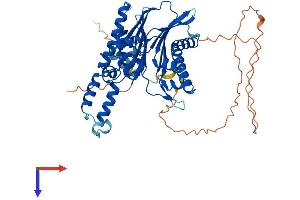 TAB1 Protein (AA 1-504) (His tag)