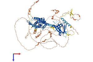 ARHGEF15 Protein (AA 1-841) (His tag)