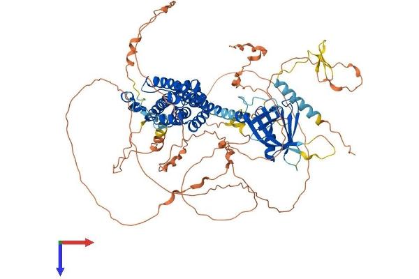 ARHGEF15 Protein (AA 1-841) (His tag)