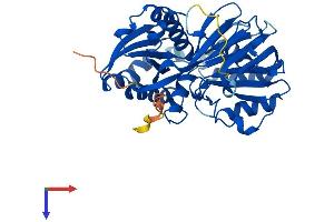 SPHK1 Protein (AA 1-382) (His tag)