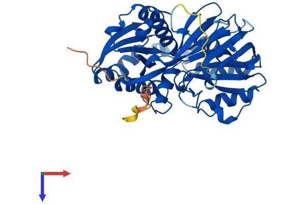 SPHK1 Protein (AA 1-382) (His tag)