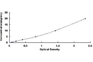 Typical standard curve
