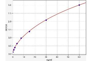 ISR-beta ELISA Kit