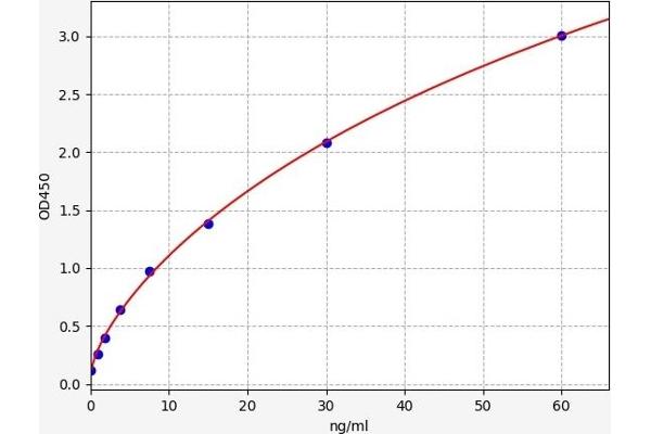 ISR-beta ELISA Kit