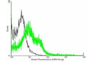 Flow Cytometry (FACS) image for anti-Fibulin 4 (FBLN4) (AA 1-443) antibody (ABIN526223)