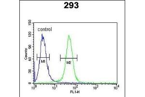 TARSL2 Antibody (C-term) (ABIN652596 and ABIN2842400) flow cytometric analysis of 293 cells (right histogram) compared to a negative control cell (left histogram). (TARSL2 Antikörper  (C-Term))