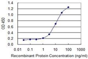 Detection limit for recombinant GST tagged CACNA2D2 is 0. (CACNA2D2 Antikörper  (AA 65-162))