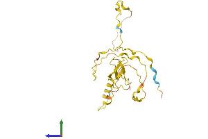 Protein Structure (PS) image for LITAF-Like Protein (CDIP1) (AA 1-208) protein (His tag) (ABIN7553061)