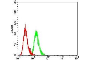 Flow cytometric analysis of Hela cells using PAX2 mouse mAb (green) and negative control (red). (PAX2A Antikörper  (AA 194-304))
