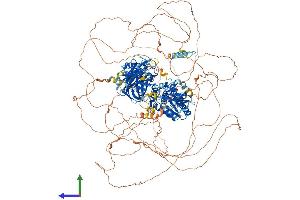 Protein Structure (PS) image for Tensin 3 (TNS3) (AA 1-1445) protein (His tag) (ABIN7555763)