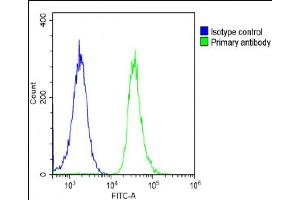 Overlay histogram showing A431 cells stained with (ABIN6243640 and ABIN6578866)(green line). (DNAJC3 Antikörper  (AA 189-223))