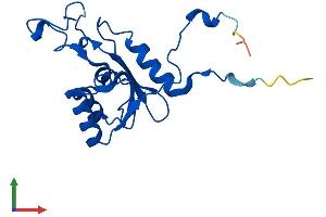 Protein Structure (PS) image for DCMP Deaminase (DCTD) (AA 1-178) protein (His tag) (ABIN7559502)