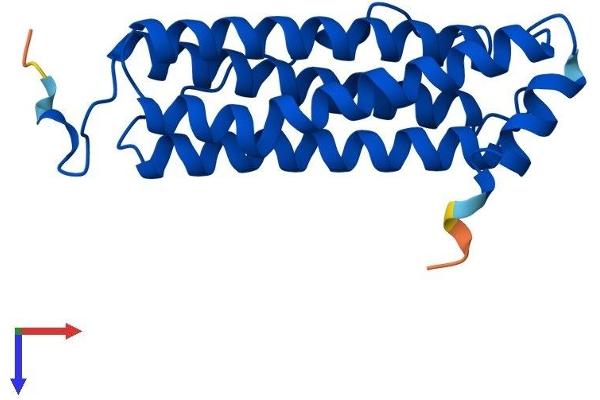 FTH1 Protein (AA 1-182) (His tag)