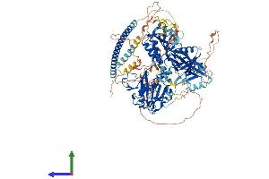 Protein Structure (PS) image for Signal-Induced Proliferation-Associated 1 (SIPA1) (AA 1-1042) protein (His tag) (ABIN7555568)