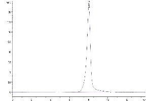 Size-exclusion chromatography-High Pressure Liquid Chromatography (SEC-HPLC) image for Receptor Tyrosine-Protein Kinase ErbB-3 (ERBB3) (AA 20-643) protein (His-Avi Tag,Biotin) (ABIN7274802)