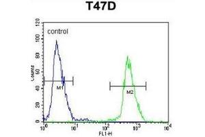 Flow cytometric analysis of T47D cells using NUP210 / GP210 Antibody (N-term) Cat. (NUP210 Antikörper  (N-Term))