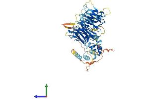 Protein Structure (PS) image for F-Box Protein 24 (FBXO24) (AA 1-580) protein (His tag) (ABIN7547561)