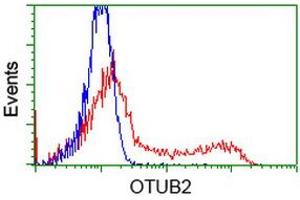 Image no. 2 for anti-OTU Domain, Ubiquitin Aldehyde Binding 2 (OTUB2) antibody (ABIN1499939) (OTUB2 Antikörper)