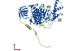 ATP6V1B2 Protein (AA 1-511) (His tag)