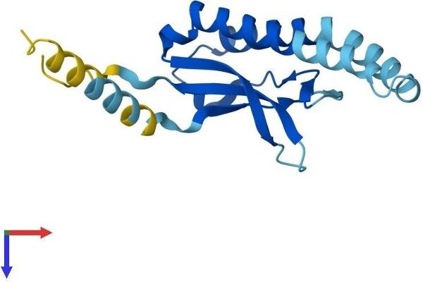 CHIC2 Protein (AA 1-165) (His tag)