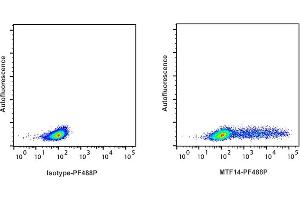 Detection of IFN-ү by flow cytometry in viable ferret spleen cells. (Interferon gamma Antikörper  (PromoFluor-488 Premium))
