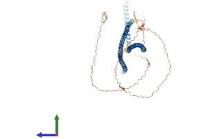 Protein Structure (PS) image for Keratin 10 (KRT10) (AA 1-584) protein (His tag) (ABIN7548722)