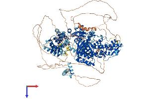 KDM6A Protein (AA 1-1401) (His tag)