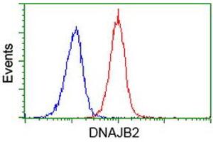 Image no. 3 for anti-DnaJ (Hsp40) Homolog, Subfamily B, Member 2 (DNAJB2) antibody (ABIN1497868) (DNAJB2 Antikörper)