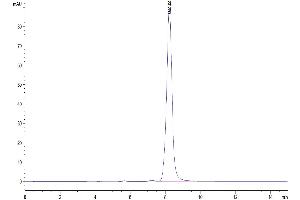 Size-exclusion chromatography-High Pressure Liquid Chromatography (SEC-HPLC) image for Interleukin 20 (IL20) (AA 25-176) protein (Fc Tag) (ABIN7274928)