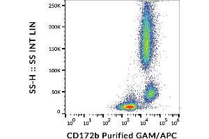 Flow cytometry analysis (surface staining) of human peripheral blood cells with anti-human CD172b (B4B6) purified, GAM-APC. (CD172b / SIRP beta Antikörper)